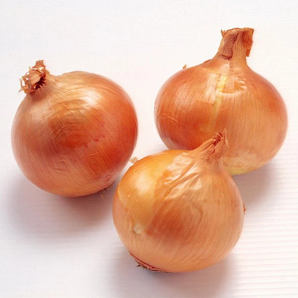 Sveža Orgnic 20kg Pakiranje Rumena čebula